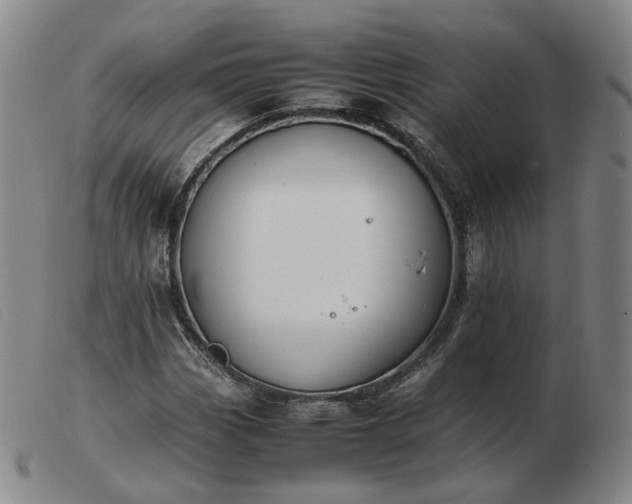 X0000103431113200809191654