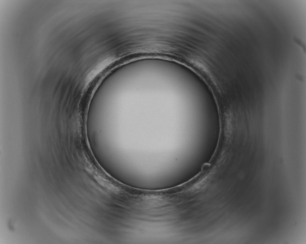 X0000103431114200809191654