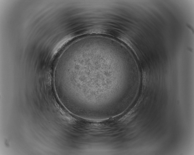 X0000103431115200809191654