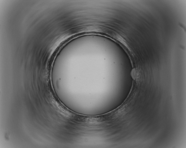 X0000103431116200809191654