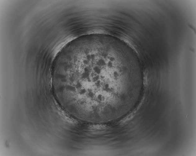 X0000103431117200809191654