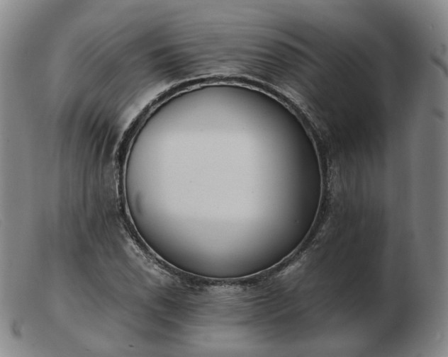 X0000103431118200809191654
