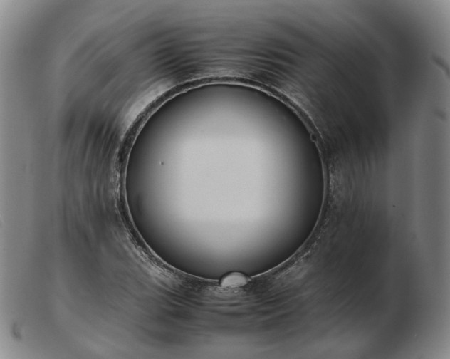 X0000103431119200809191654