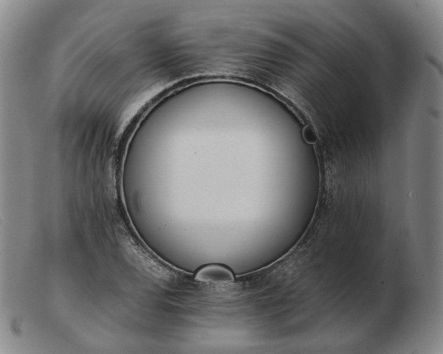 X0000103431120200809191654