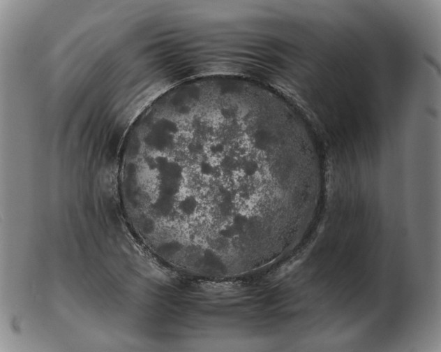 X0000103431121200809191654