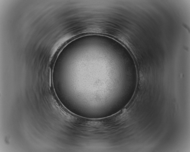 X0000103431123200809191654