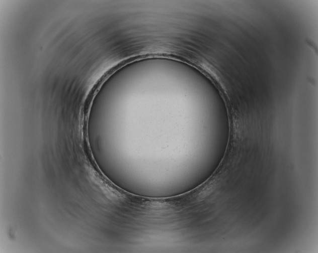 X0000103431124200809191654