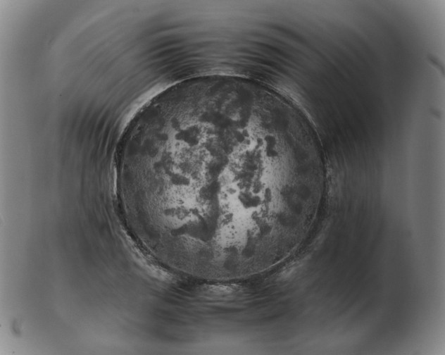 X0000103431125200809191654