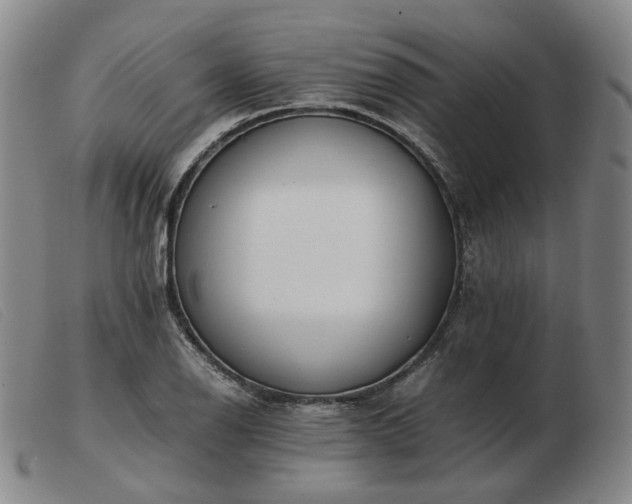 X0000103431126200809191654