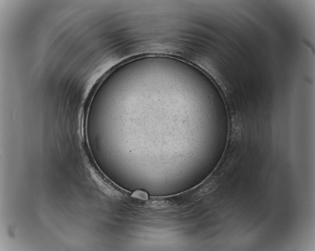X0000103431128200809191654