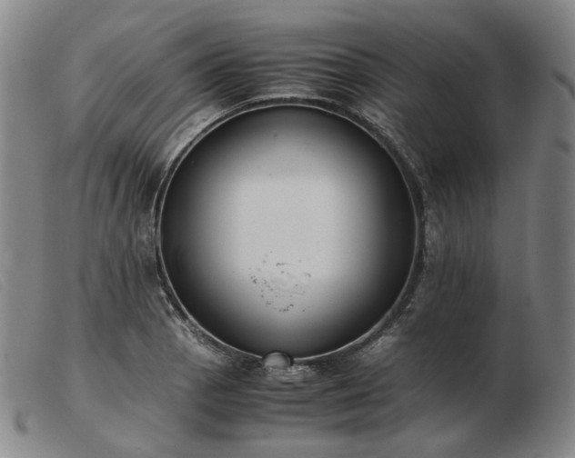 X0000103431129200809191654