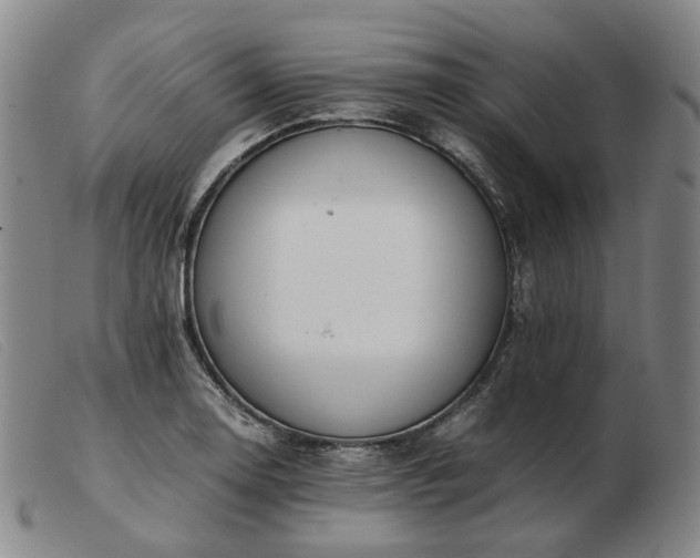 X0000103431130200809191654