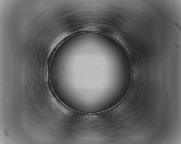 X0000103431131200809191654