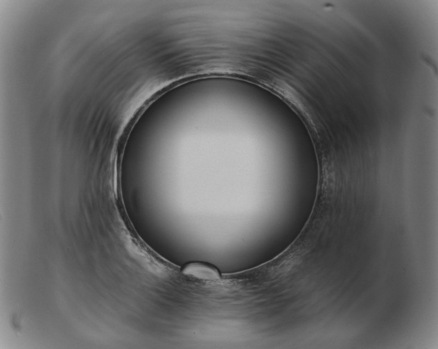 X0000103431132200809191654