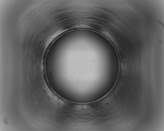 X0000103431133200809191654