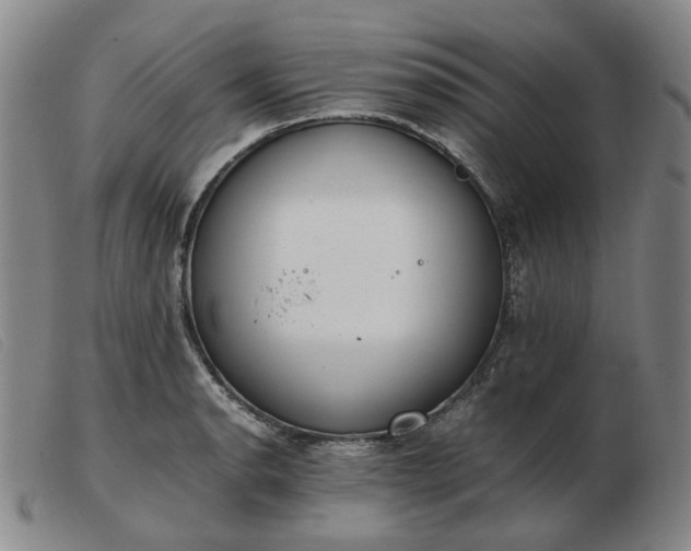 X0000103431134200809191654
