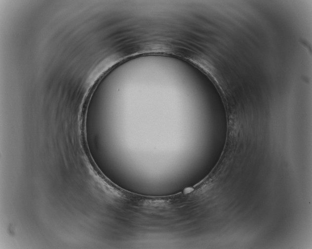 X0000103431135200809191654