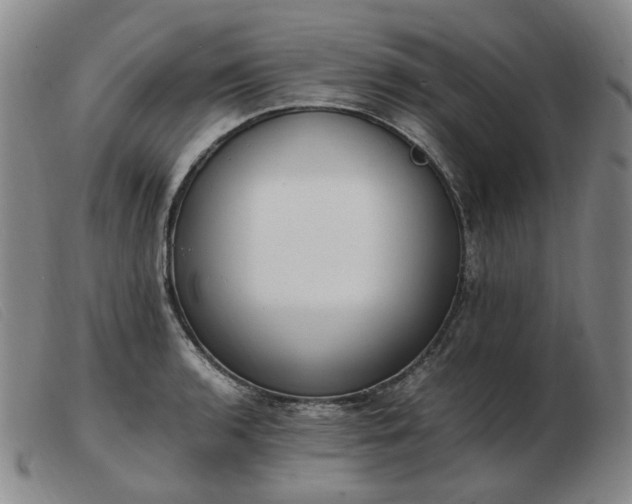 X0000103431136200809191654