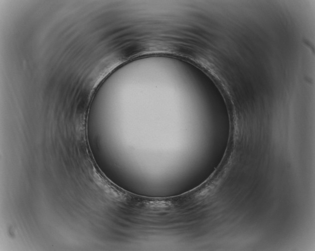 X0000103431137200809191654