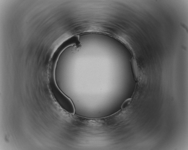 X0000103431138200809191654