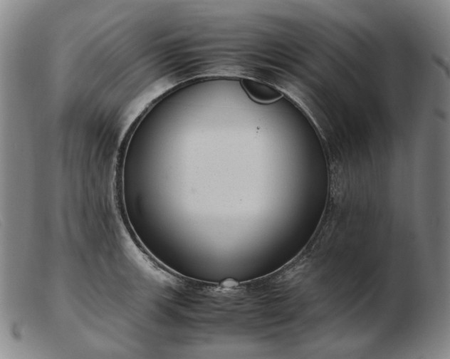 X0000103431139200809191654