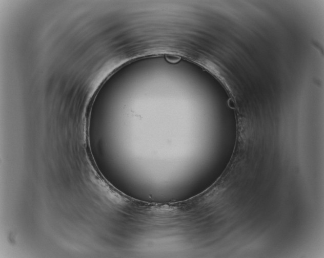 X0000103431140200809191654