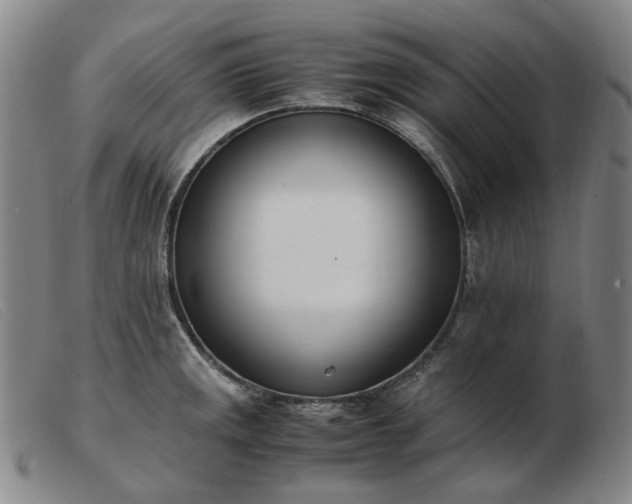 X0000103431141200809191654