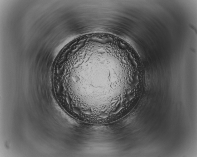 X0000103431142200809191654