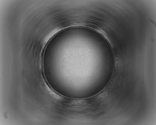 X0000103431143200809191654
