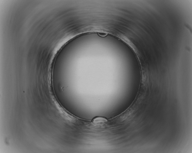 X0000103431144200809191654