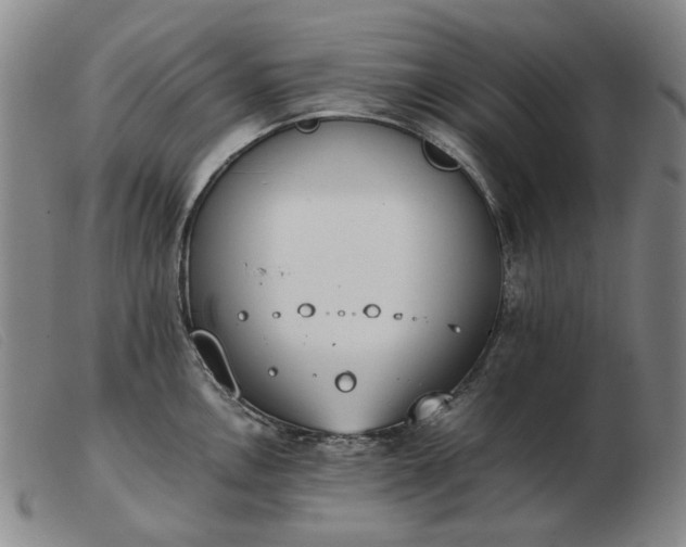 X0000103431146200809191654