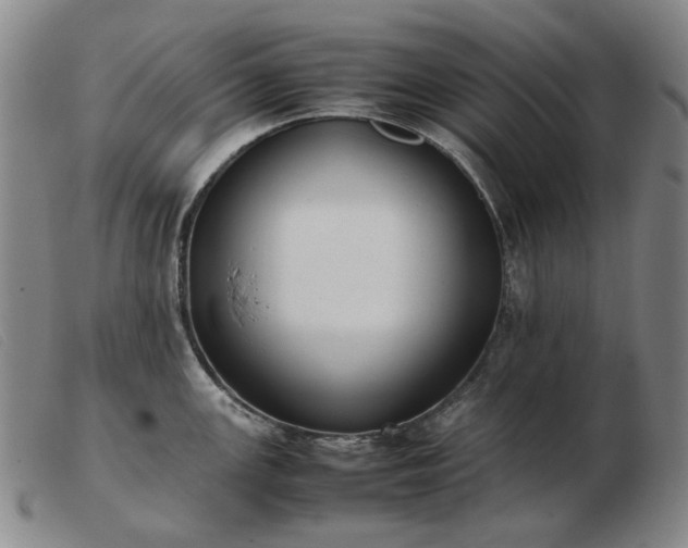 X0000103431147200809191654