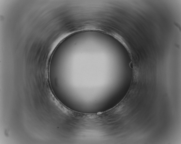 X0000103431148200809191654