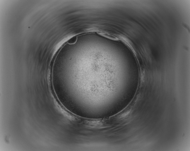 X0000103431149200809191654