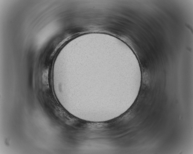 X0000103431150200809191655