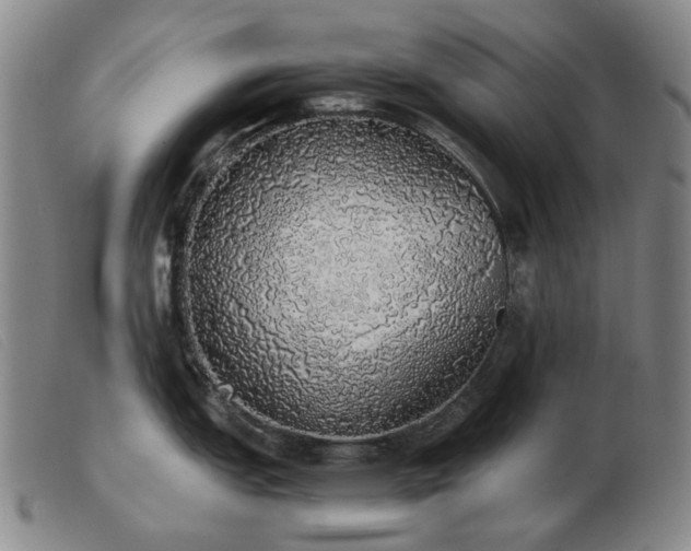 X0000103431151200809191655