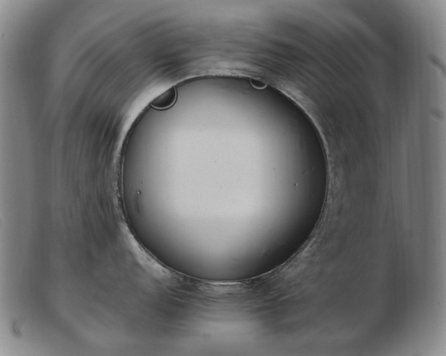 X0000103431152200809191655