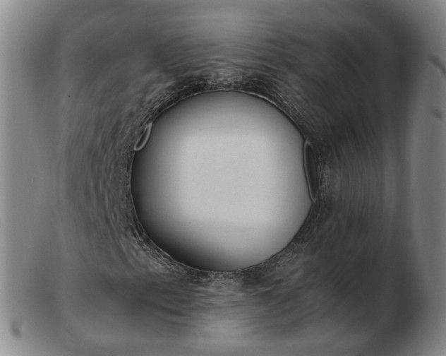 X0000103431153200809191654