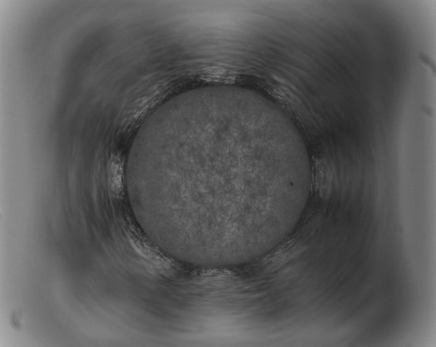 X0000103431154200809191654