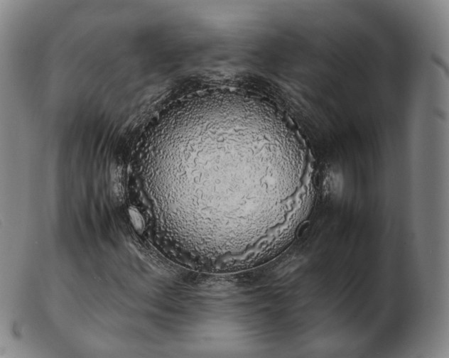 X0000103431156200809191654