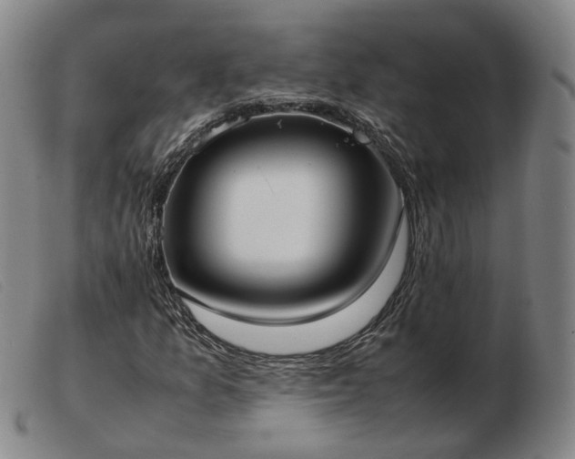 X0000103431157200809191654