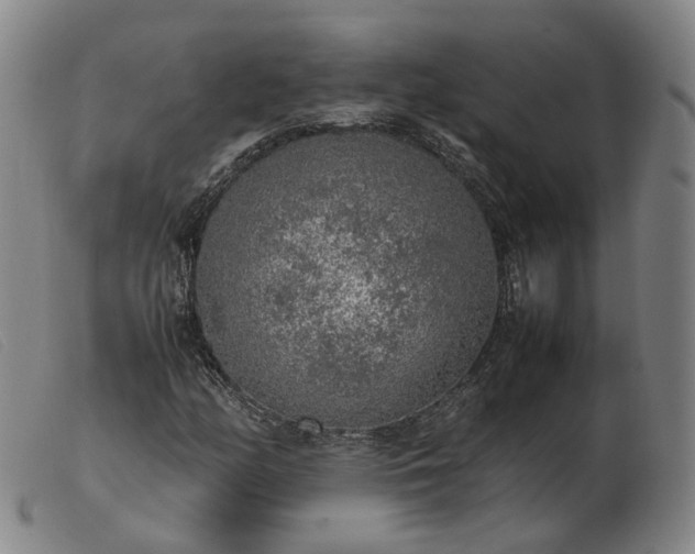 X0000103431158200809191654