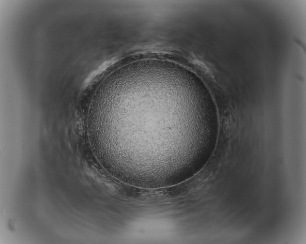 X0000103431159200809191654