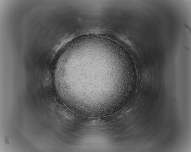 X0000103431160200809191654