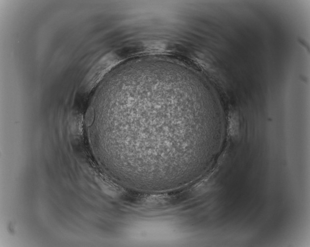 X0000103431161200809191654