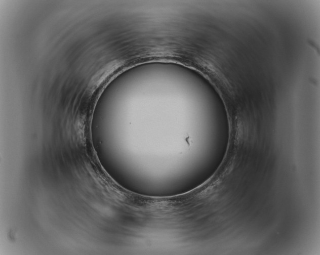 X0000103431162200809191654