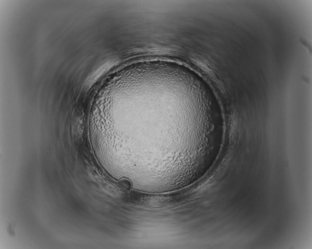 X0000103431163200809191654