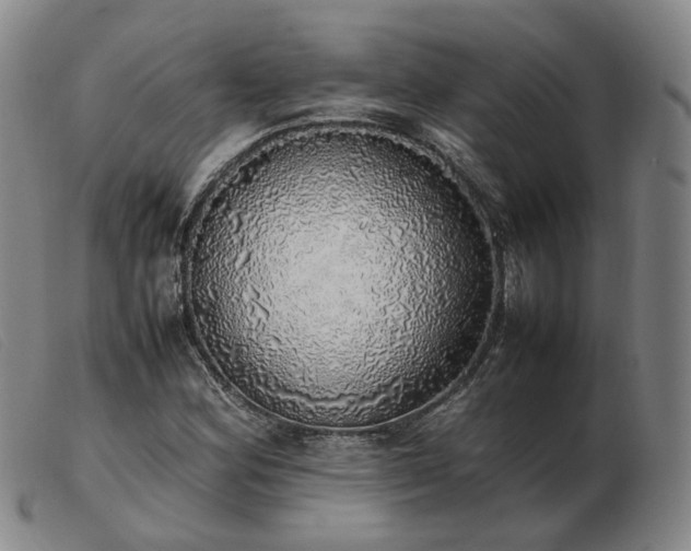 X0000103431164200809191654