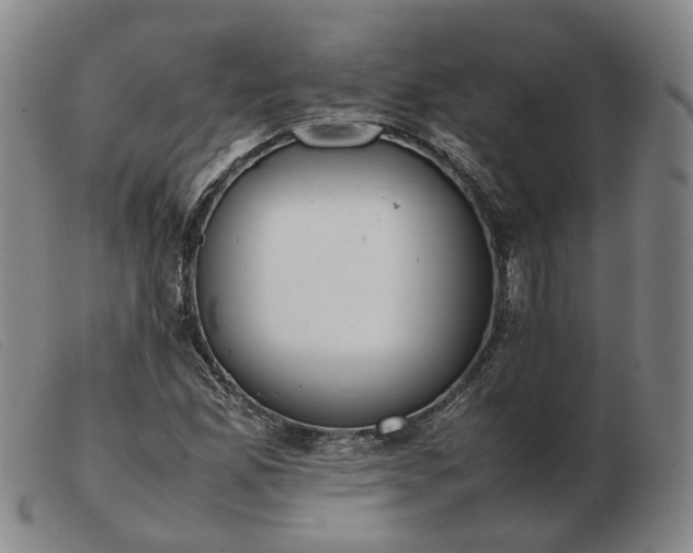 X0000103431165200809191654