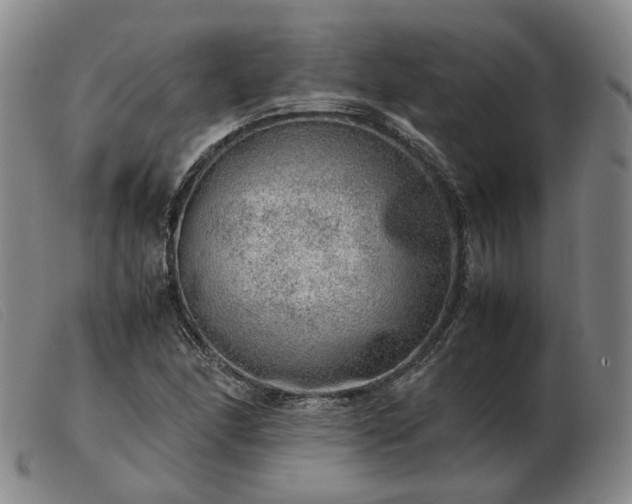 X0000103431166200809191654